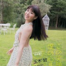 玉木碧