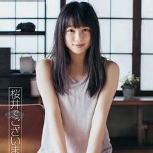 樱井日奈子