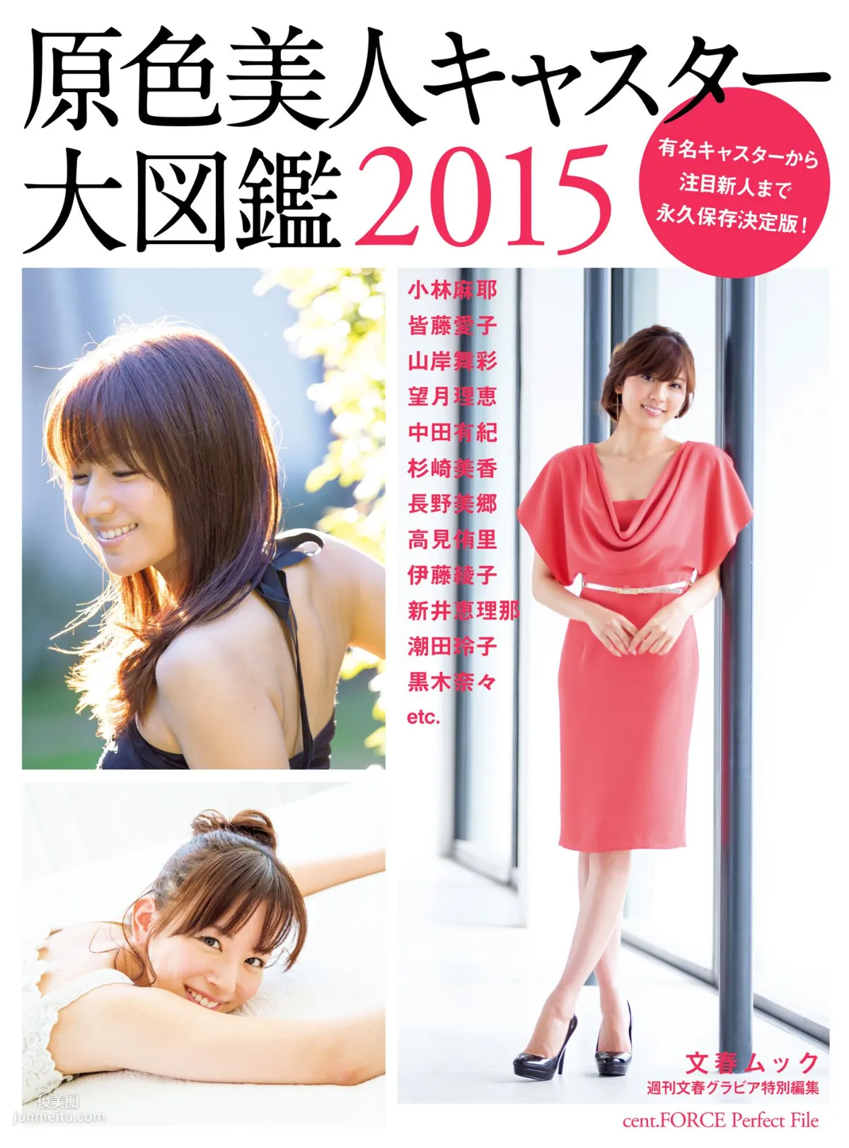 皆藤愛子/小林麻耶/岡副麻希/美馬怜子《原色美人キャスター大図鑑2015》 [PB写真集]