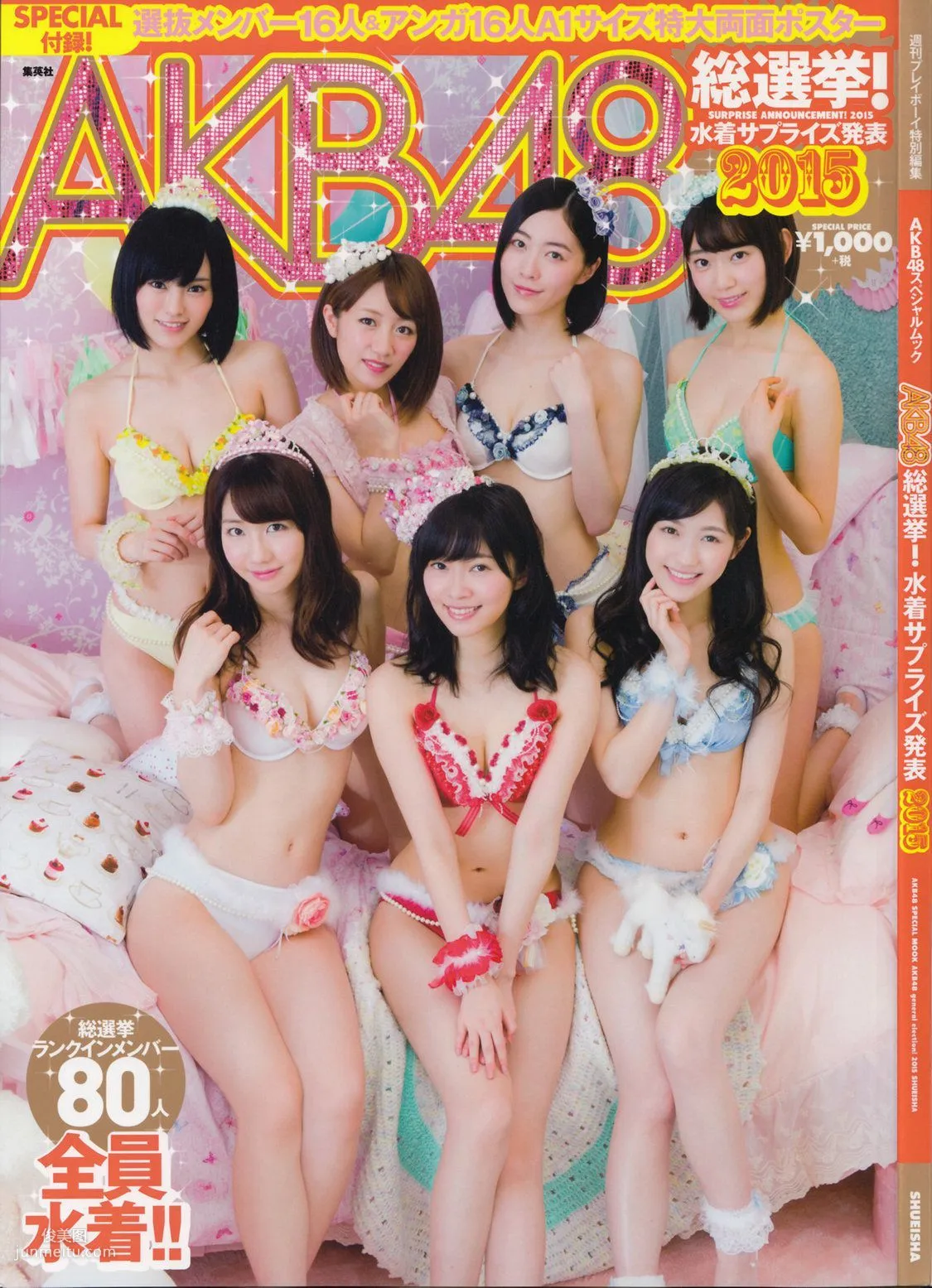AKB48 《総選挙！水着サプライズ発表2015》[PB写真集]