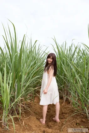 葉山めい/叶山芽衣 [Graphis] First Gravure 初脱ぎ娘 写真集