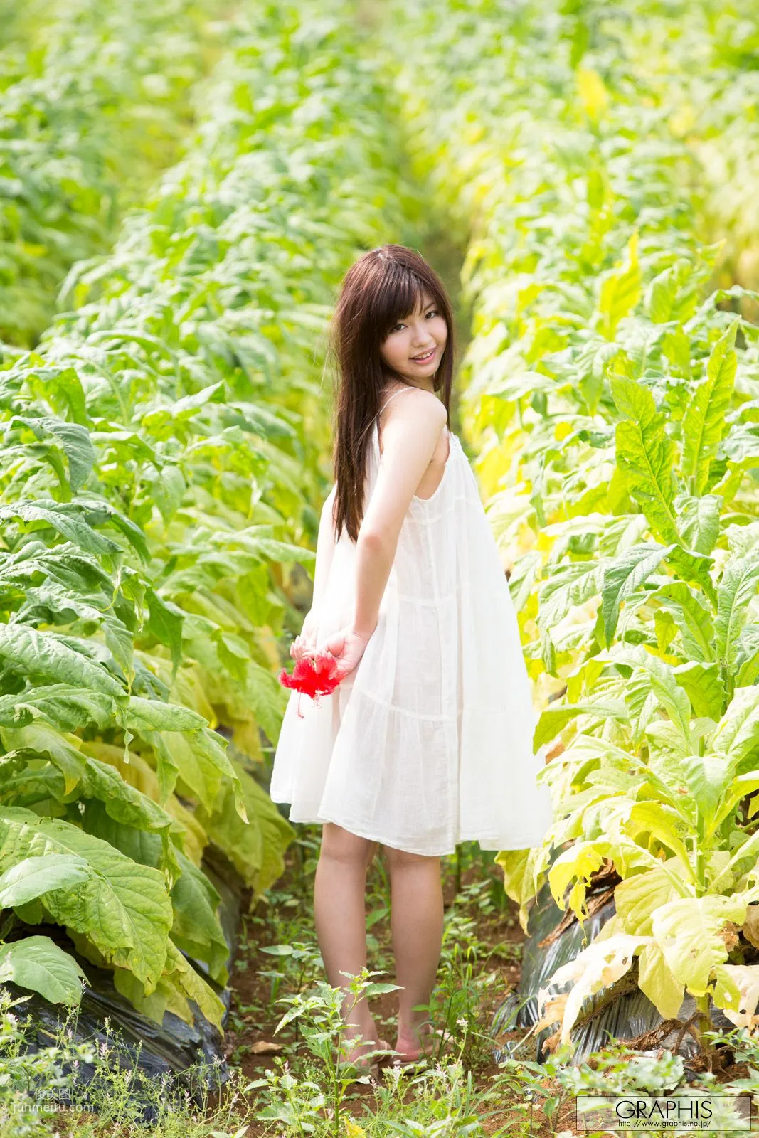 葉山めい/叶山芽衣 [Graphis] First Gravure 初脱ぎ娘 写真集