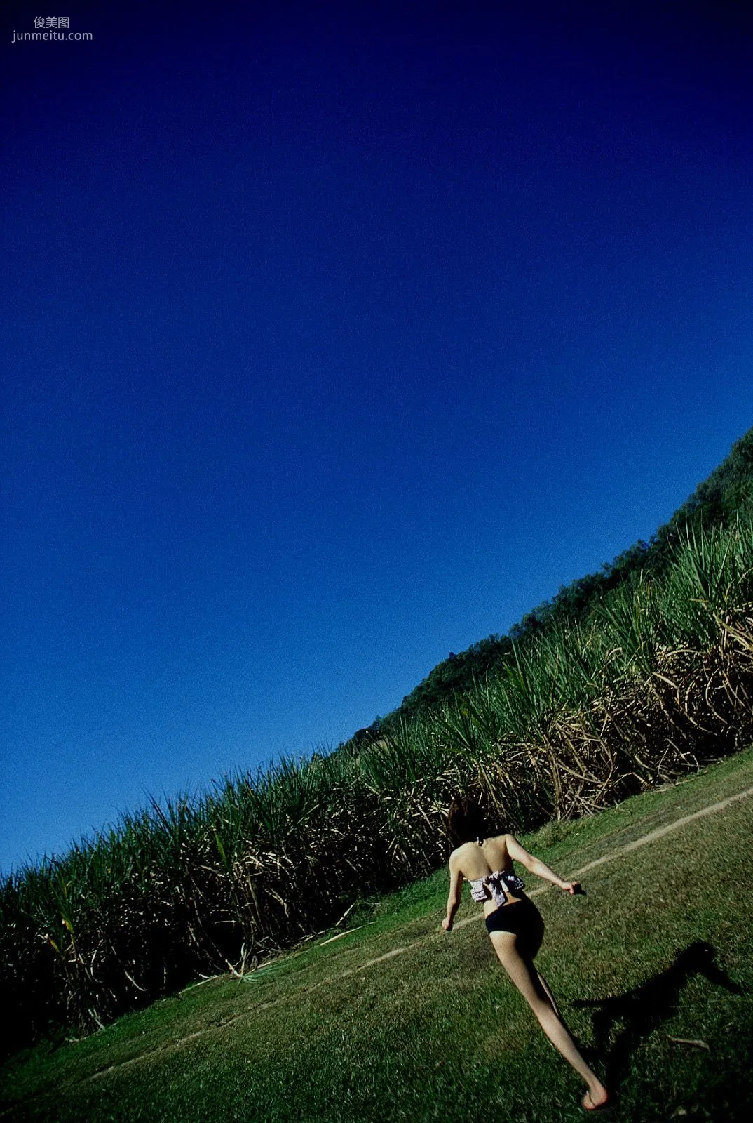 [NS Eyes] SF-No.226 Noriko Sagara 相楽のり子 写真集