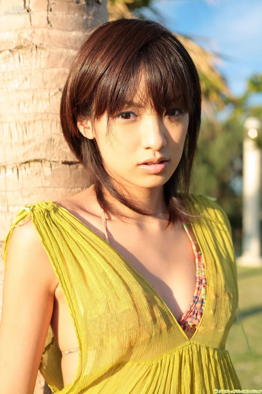 [DGC] NO.528 Akina Minami 南明奈 写真集