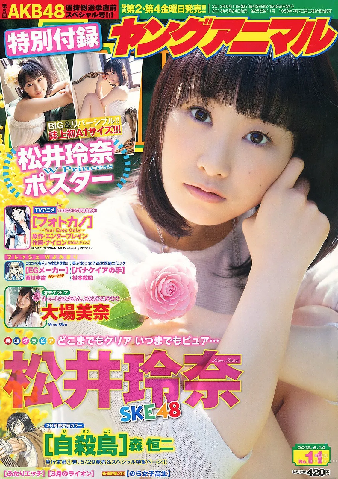 松井玲奈 大場美奈 [Young Animal] 2013年No.11 写真杂志
