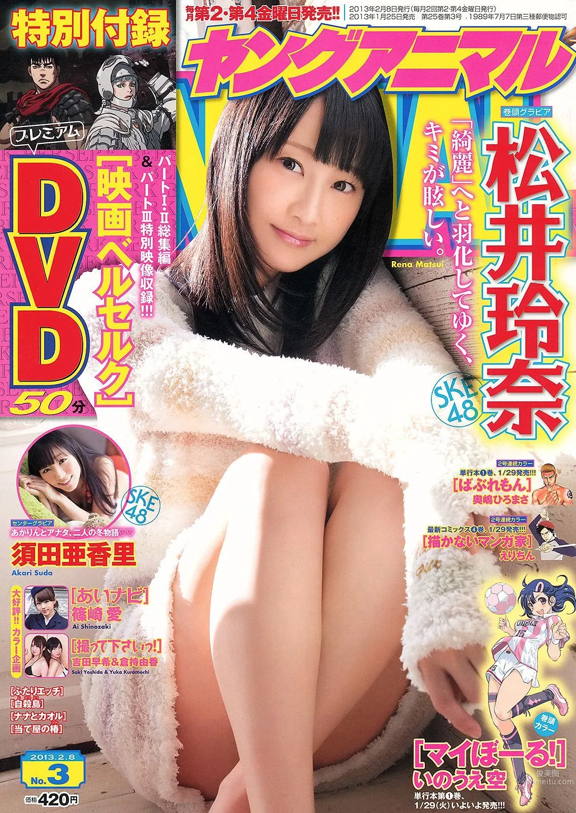 松井玲奈 須田亜香里 [Young Animal] 2013年No.03 写真杂志