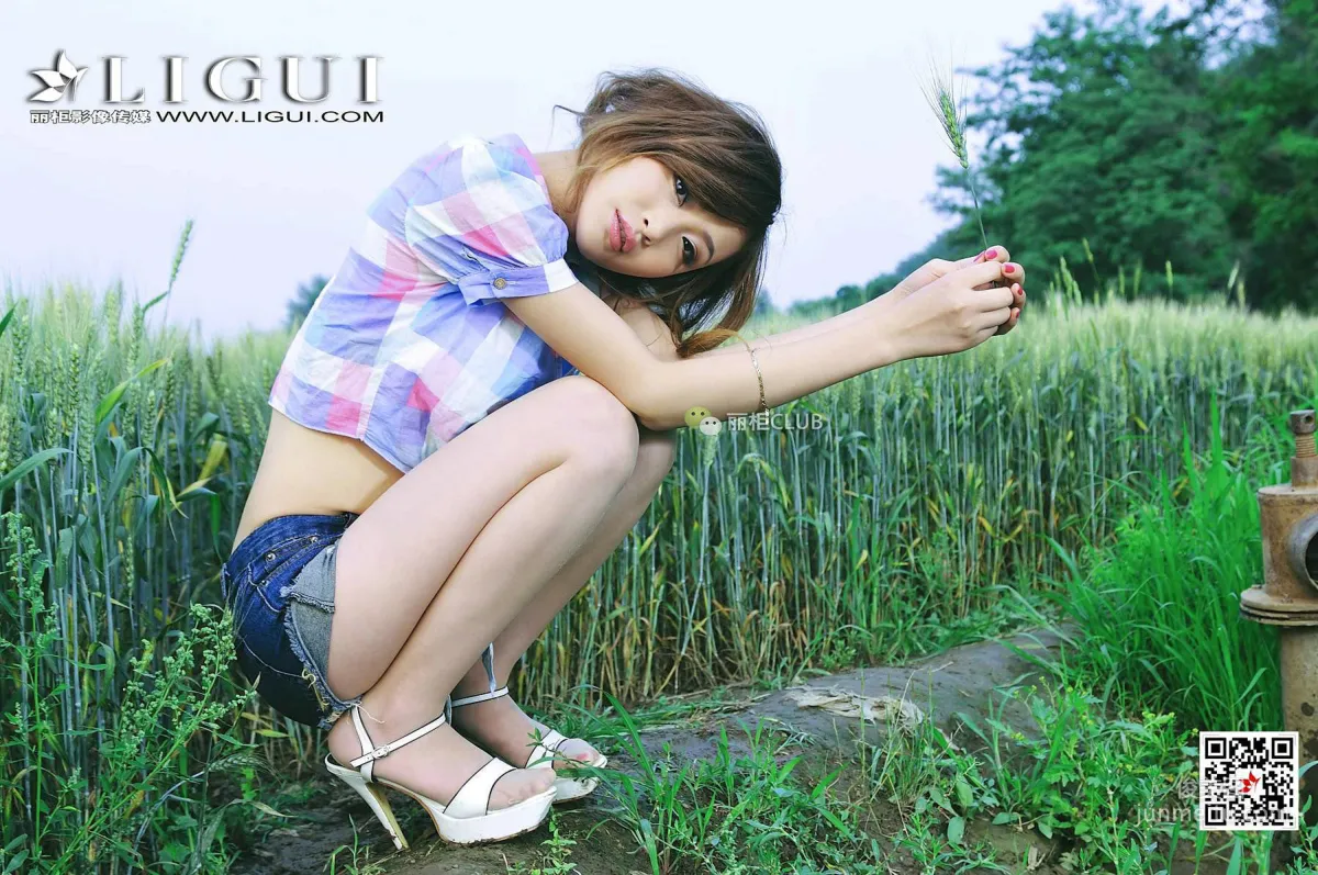 腿模童蕾《麦田美腿》 [丽柜Ligui] 写真集