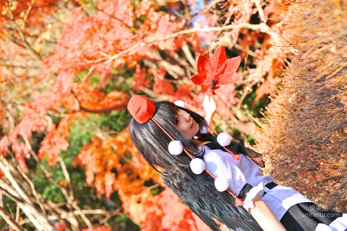 天使みゅ 《東方Project》 射命丸文 [Sugar Myuku] 写真集