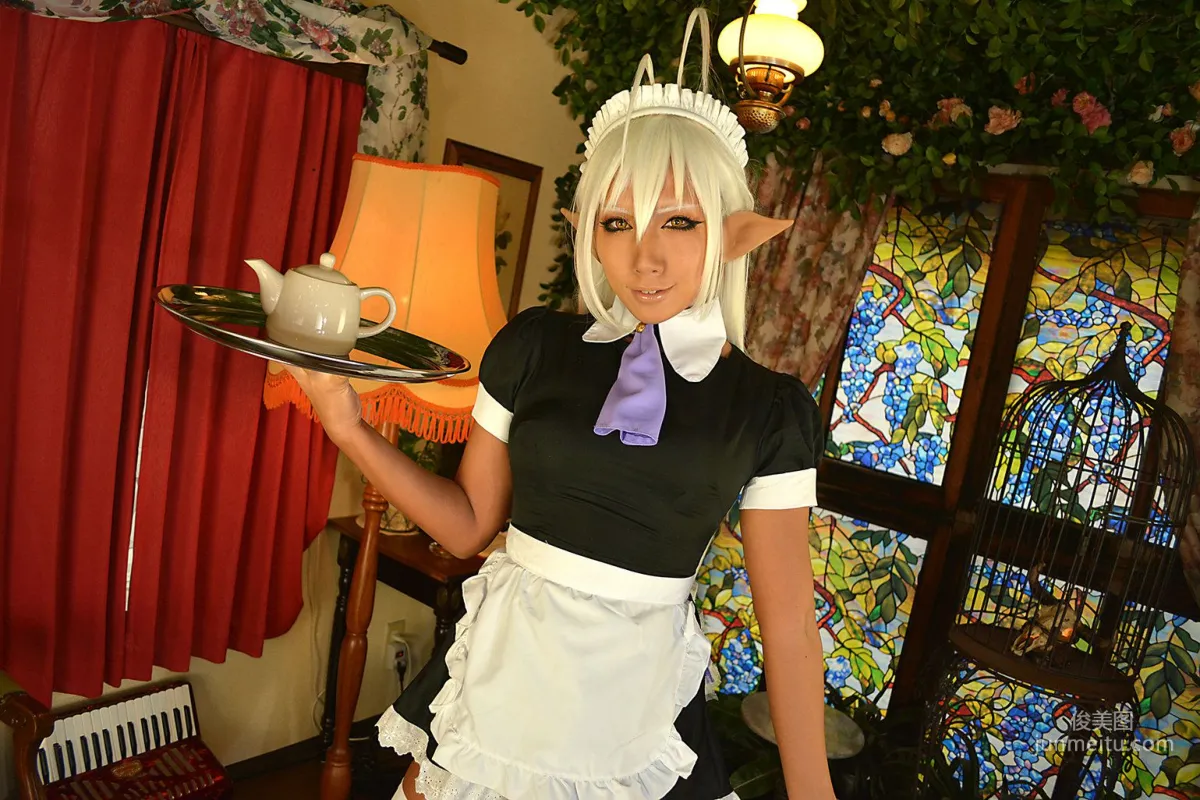 Non (Non SummerJack) 《装甲悪鬼村正》Sansei Muramasa Maid 写真集