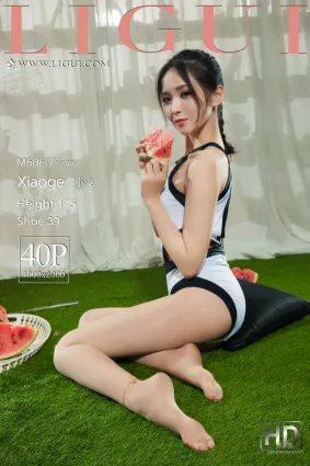 腿模小戈《白丝西瓜少女》 [丽柜Ligui] 网络丽人 写真集