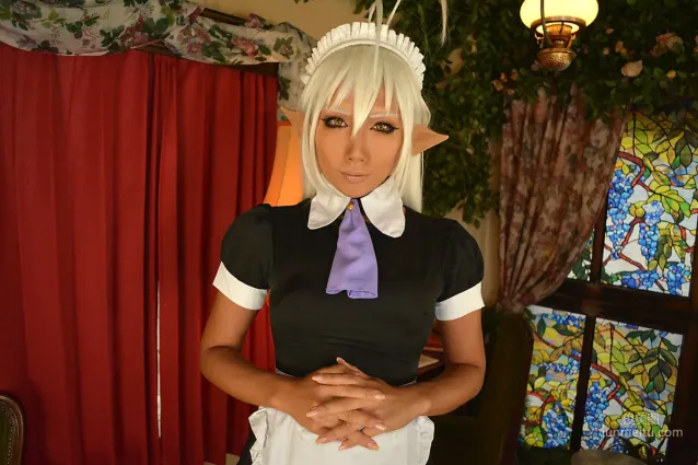 Non (Non SummerJack) 《装甲悪鬼村正》Sansei Muramasa Maid 写真集