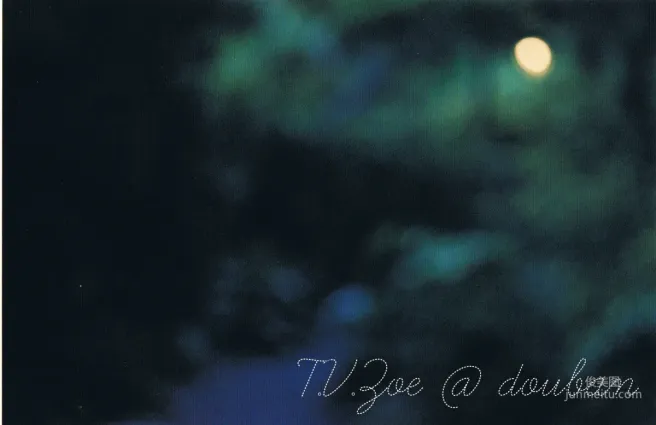 苍井优 『A DREAM 』 写真集