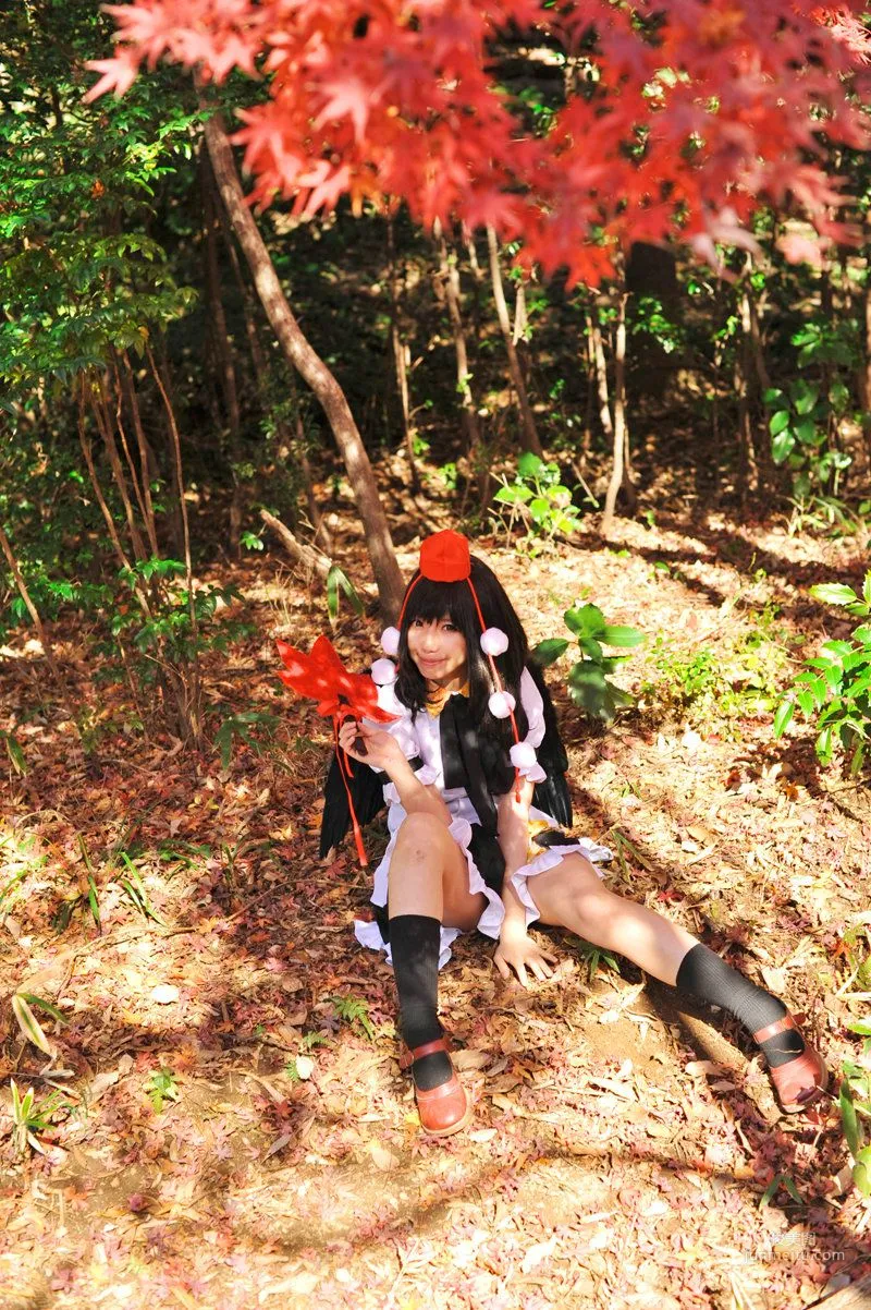 天使みゅ 《東方Project》 射命丸文 [Sugar Myuku] 写真集