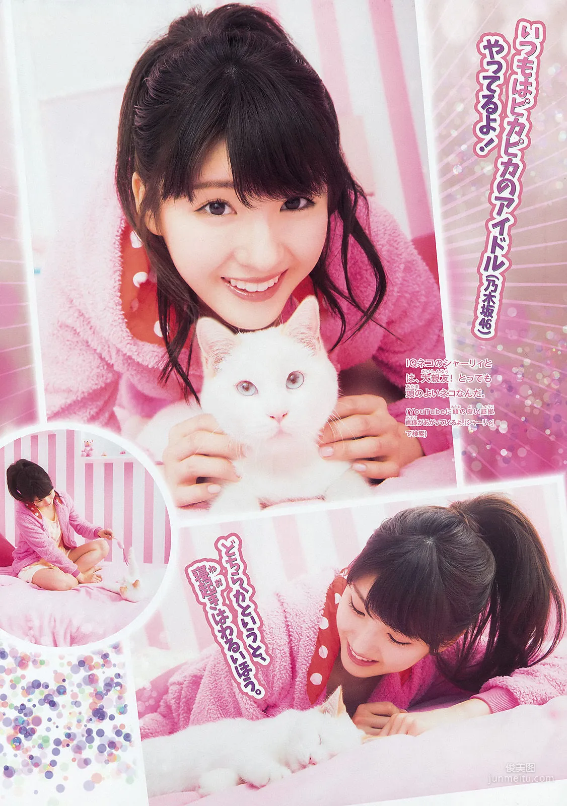 [Weekly Big Comic Spirits] 井上小百合 2015年No.18 写真杂志
