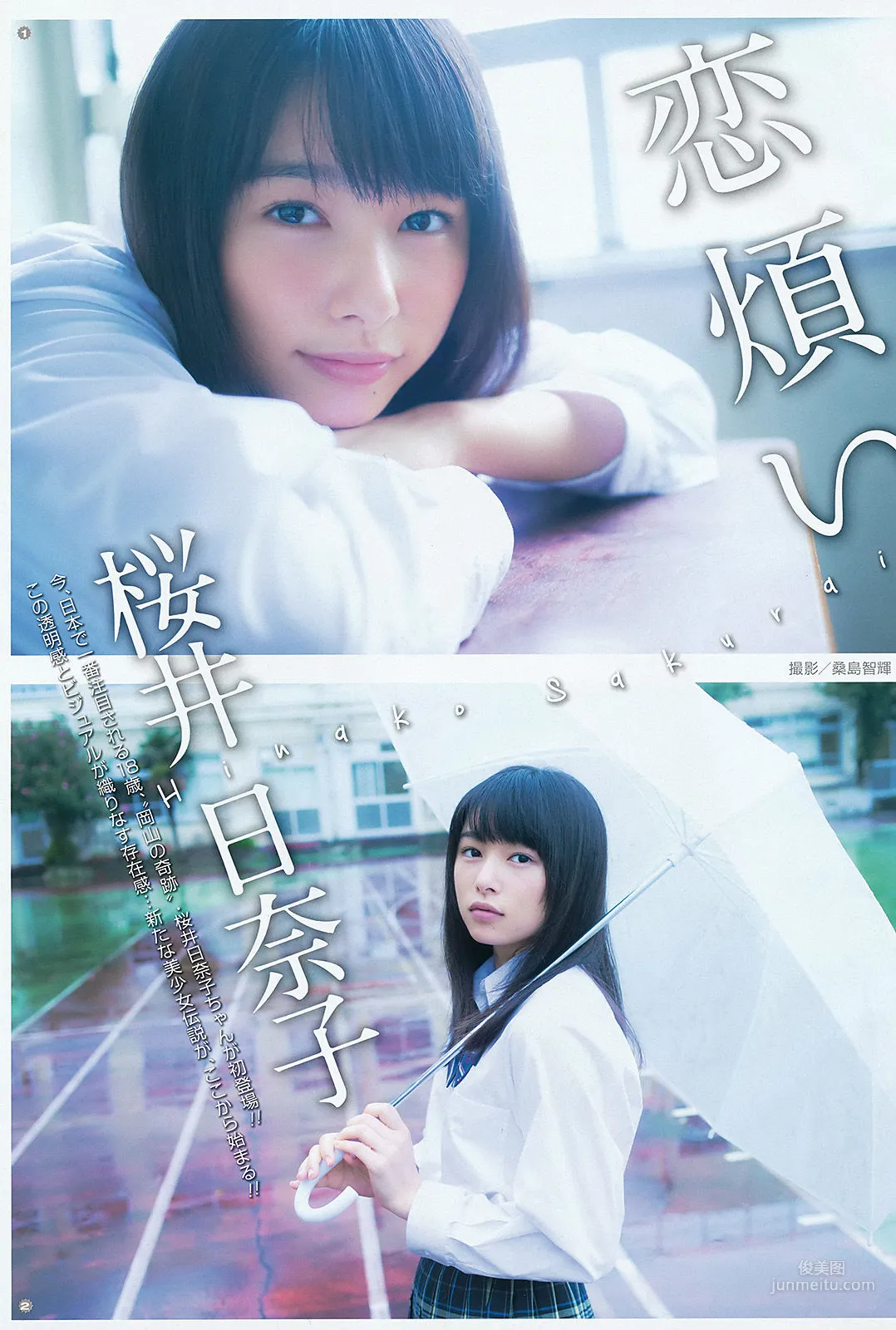 [Young Gangan] 桜井日奈子 2015年No.22 写真杂志