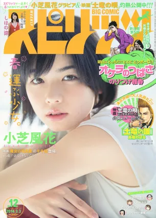 [Weekly Big Comic Spirits] 小芝風花 しほの涼 2014年No.12 写真杂志