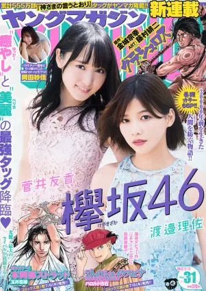 [Young Magazine] 渡邉理佐 菅井友香 岡田紗佳 2017年No.31 写真杂志