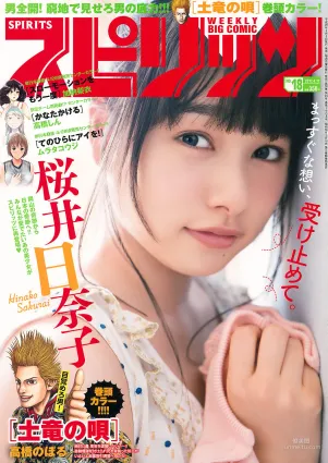 [Weekly Big Comic Spirits] 桜井日奈子 2017年No.18 写真杂志