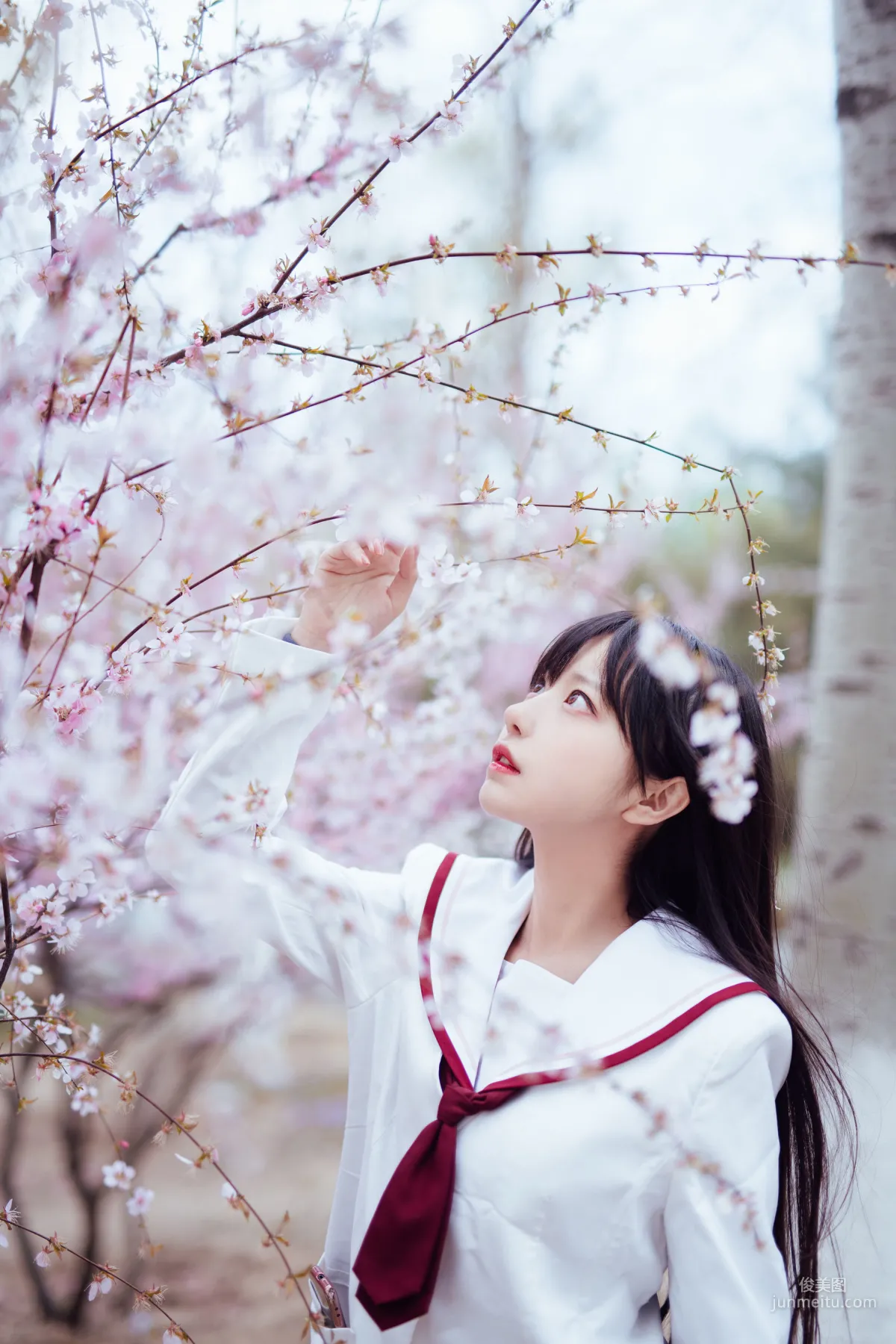 Shika小鹿鹿 《樱花》 [COSPLAY福利] 写真集