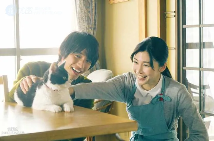 日本帅哥福士苍汰日常逗猫生活照片