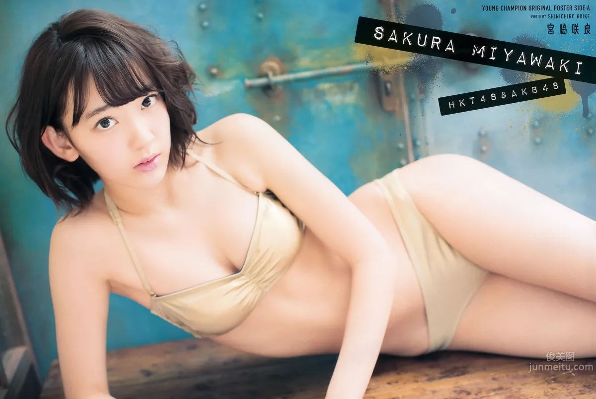 [Young Champion] 2015 No.10 11 三轮晴香 叶月 和泉美沙希 为近あんな 宫脇咲良 天木じゅん