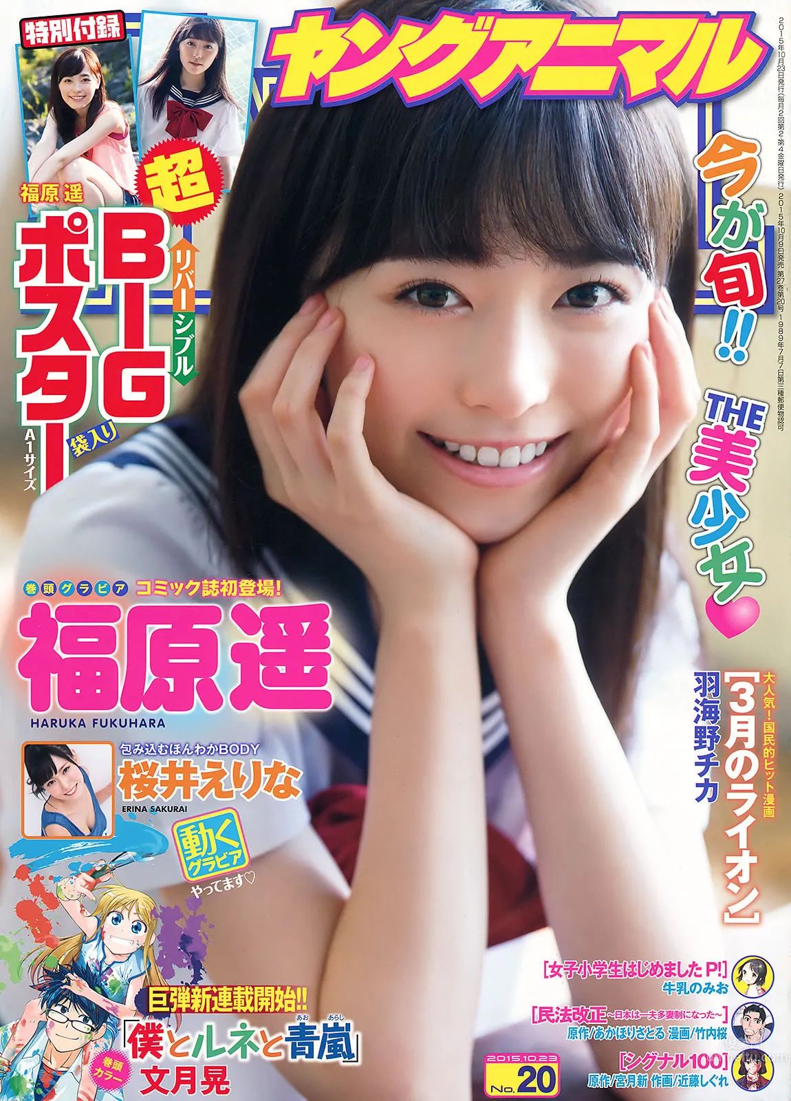 [Young Animal] 2015 No.20-21 福原遥 桜井えりな 兒玉遥 神志那結衣 HKT48 [45P]
