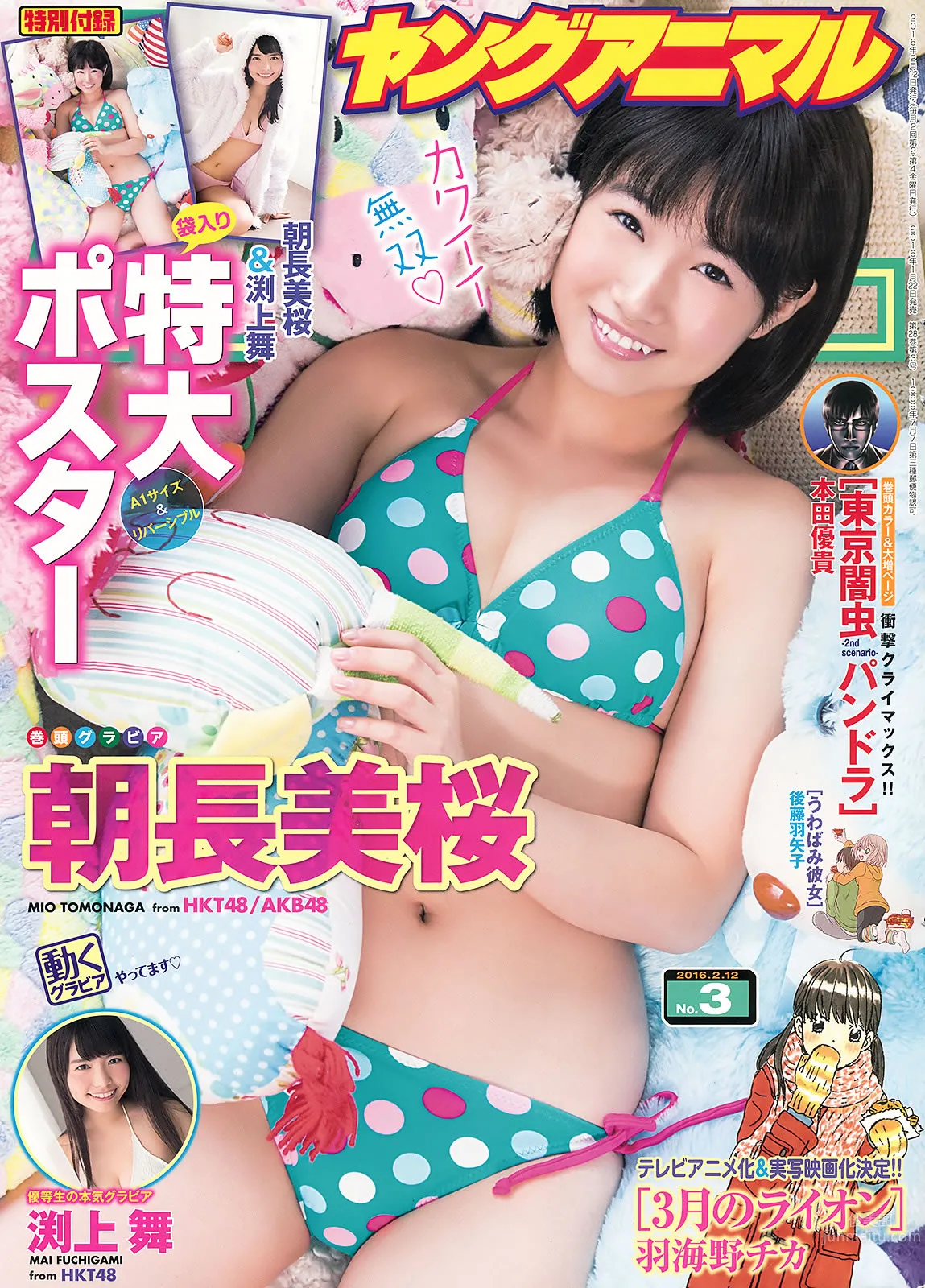 [Young Animal] 2016 No.02 03 宮脇咲良 本村碧唯 朝長美桜 渕上舞