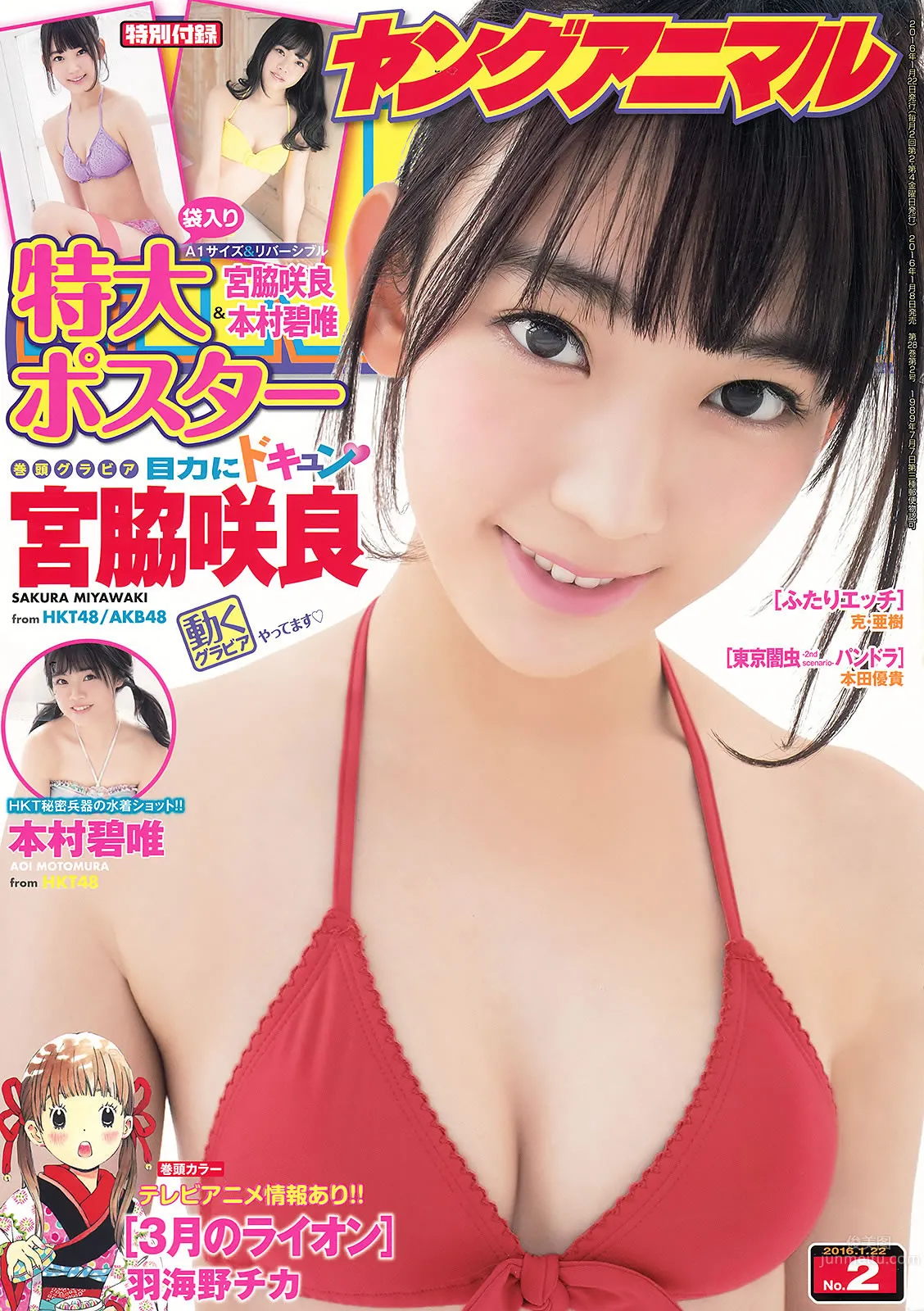 [Young Animal] 2016 No.02 03 宮脇咲良 本村碧唯 朝長美桜 渕上舞