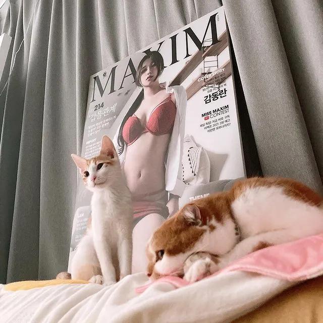 想成为那只猫!喵皇视线集中「狂盯主人身前欧派」