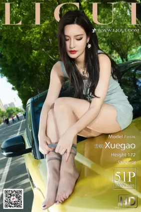 [丽柜Ligui] Model 雪糕 《灰丝美腿车模》 写真集