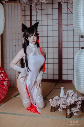 [Cosplay] 二佐Nisa - 犬之眷之碧蓝爱宕 旗袍