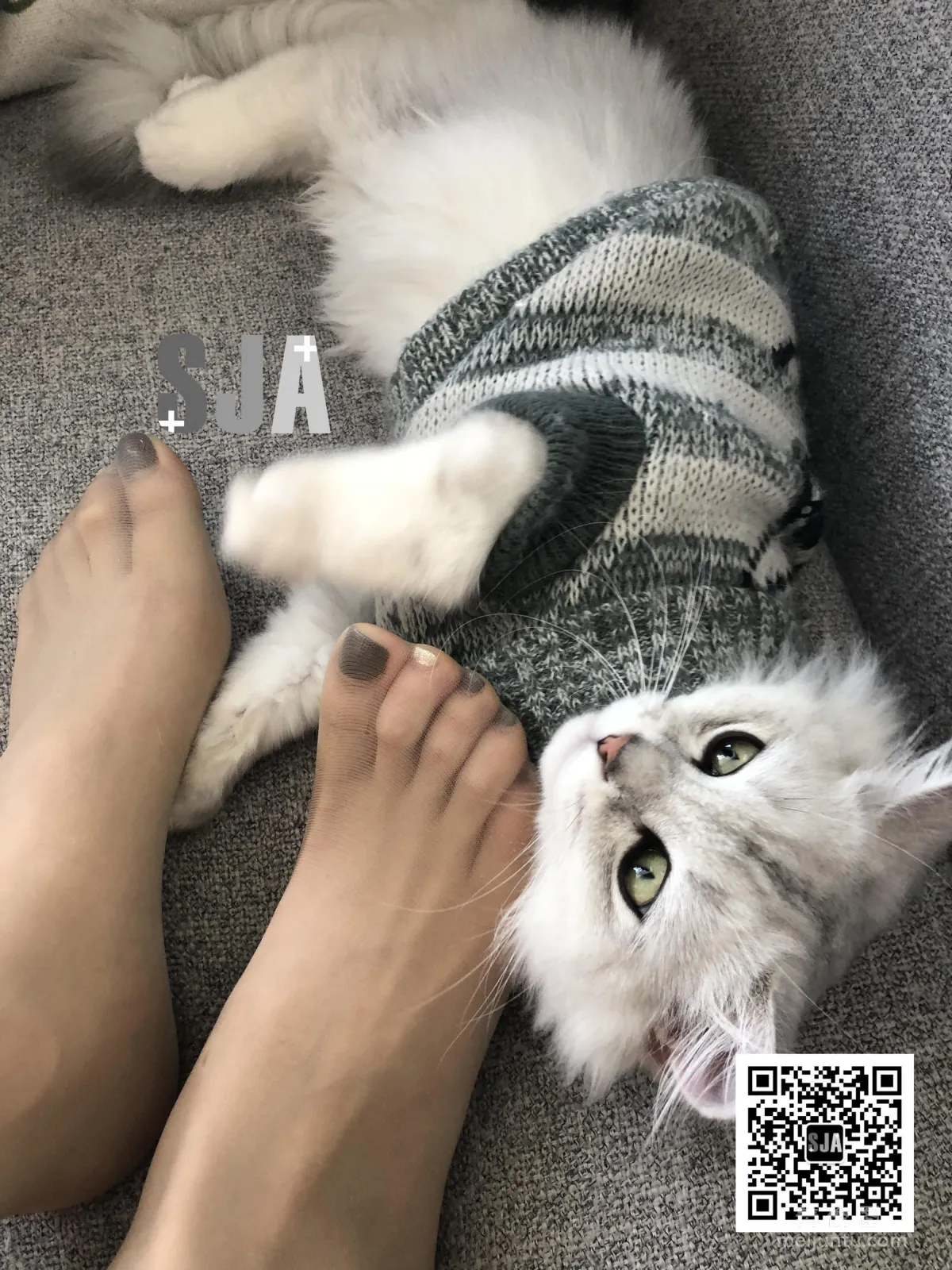 [佳爷SJA] Vol.013 佳爷 闺蜜视角《喵》 写真套图