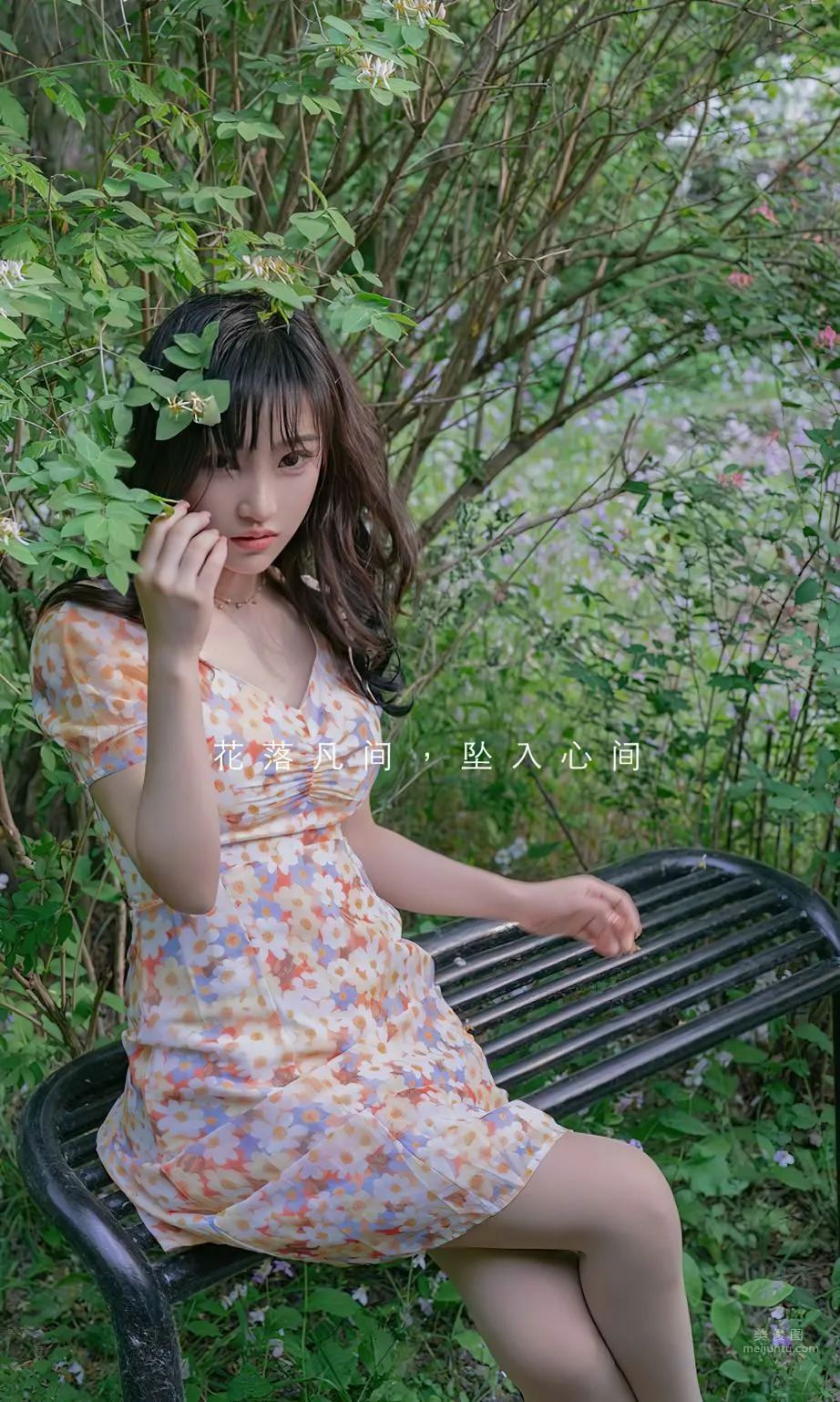 西门小玉花开荼蘼
